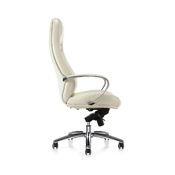 White color Aeron Office Chair Side Pose