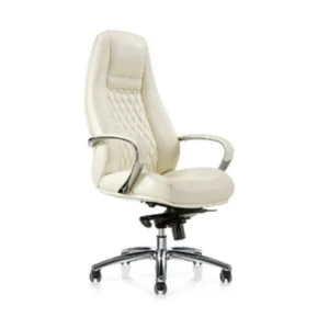 Aeron Office Chair White