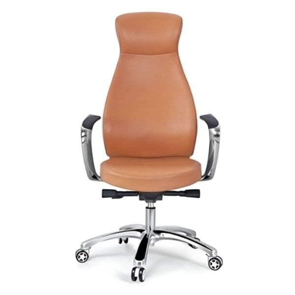 Ergonomic Merino Chair