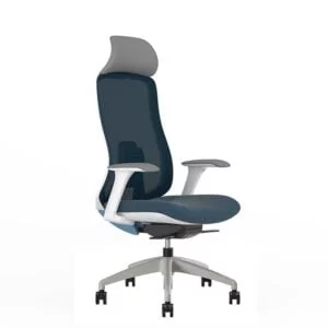 Ergofit Chair Mesh