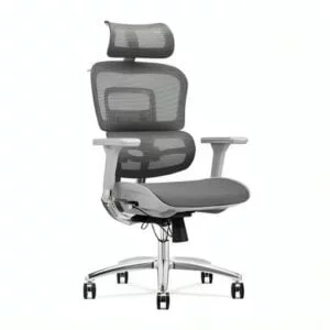 Ergohuman Robust Office Chair