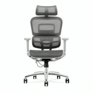 Ergohuman Robust Office Chair