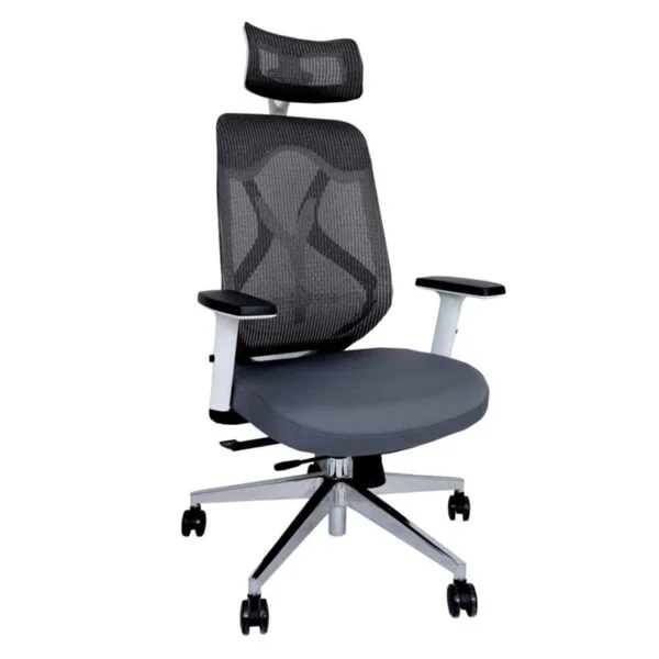 Beautiful Ergoncush Ergonomic Office Chair