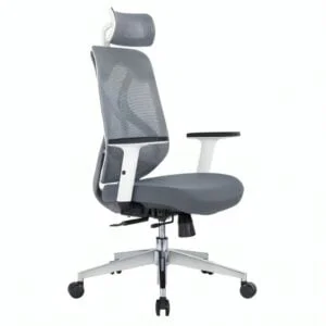 Ergoncush Ergonomic Office Chair