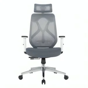 Ergoncush Ergonomic Office Chair