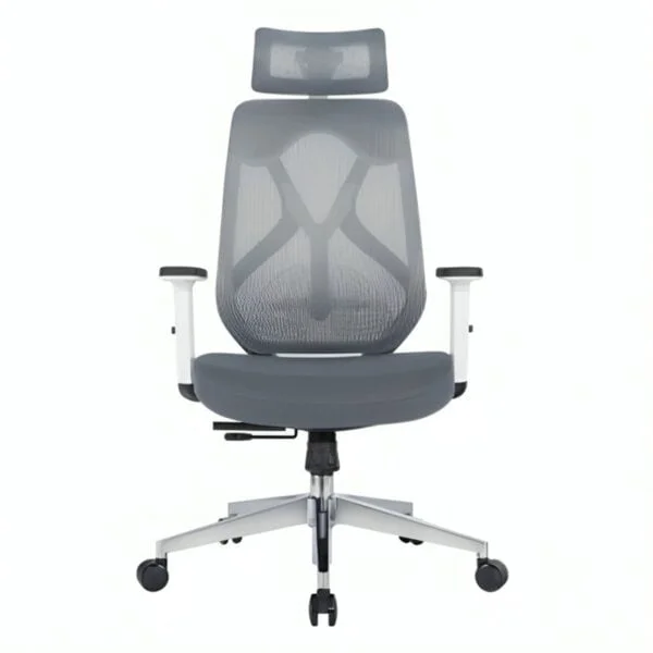 Ergoncush Ergonomic office chair Front