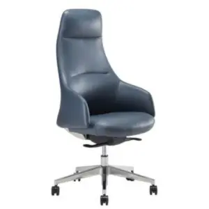 Ergofit leather office Chair