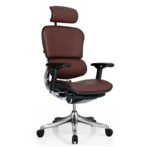 Ergohuman Classic Leather Chair