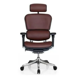 Ergohuman Classic Leather Chair