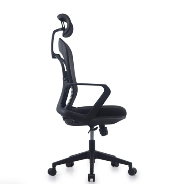 Side Pose of Lucano Office Chair